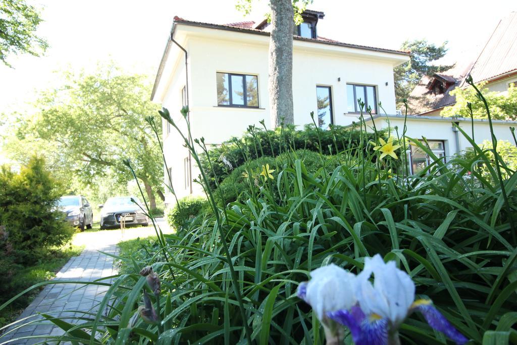 Vytauto * Palanga